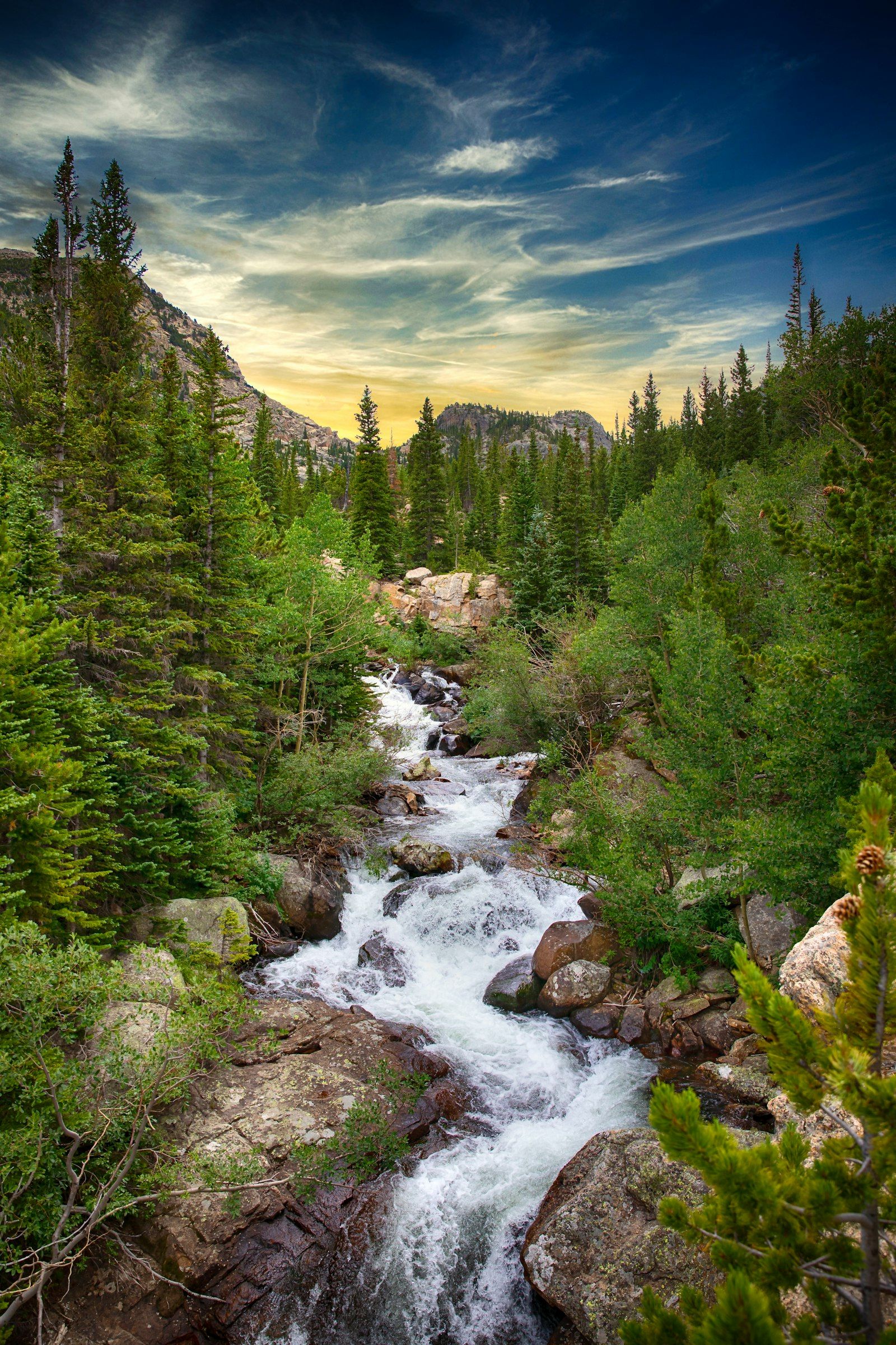 South Platte meadow water above Spinney Mountain Reservoir — Badger Basin State Wildlife Area