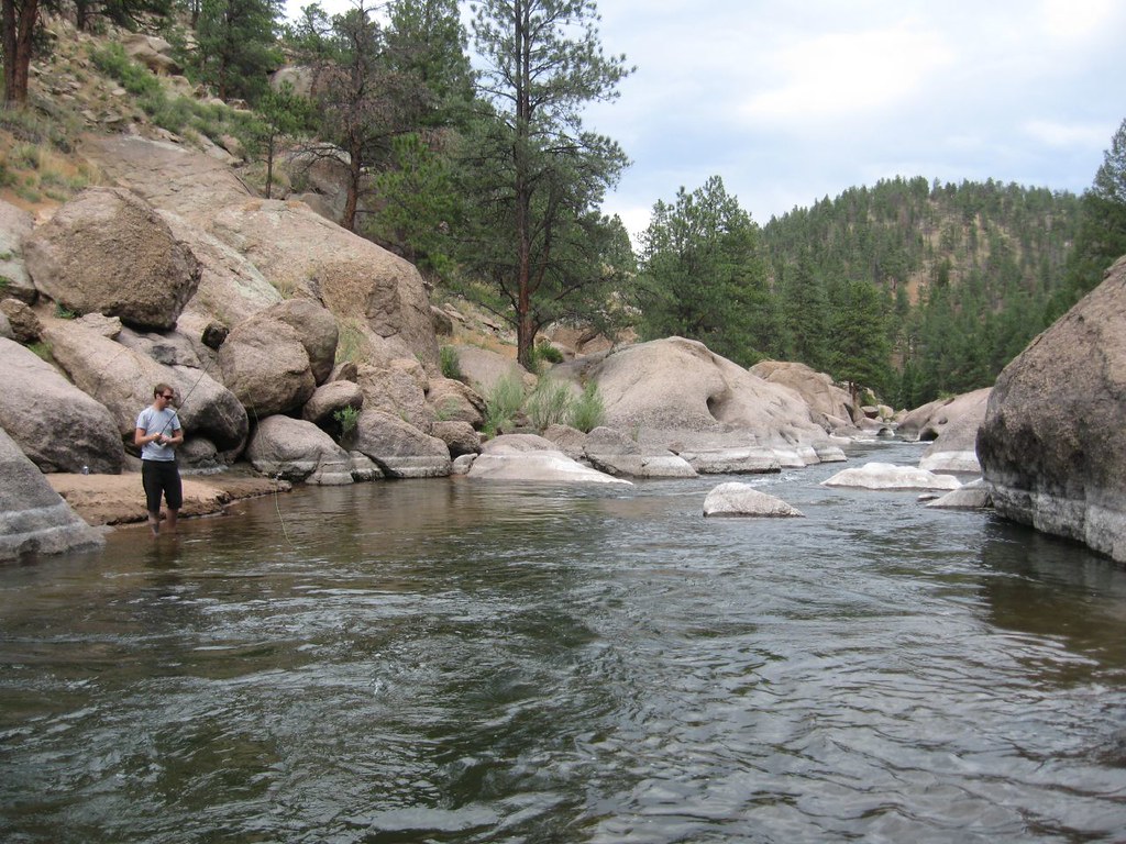 An angler fishing the South Platte in Cheesman Canyon, standing at the edge of a slow tailout with granite boulders and pine-covered slopes rising behind