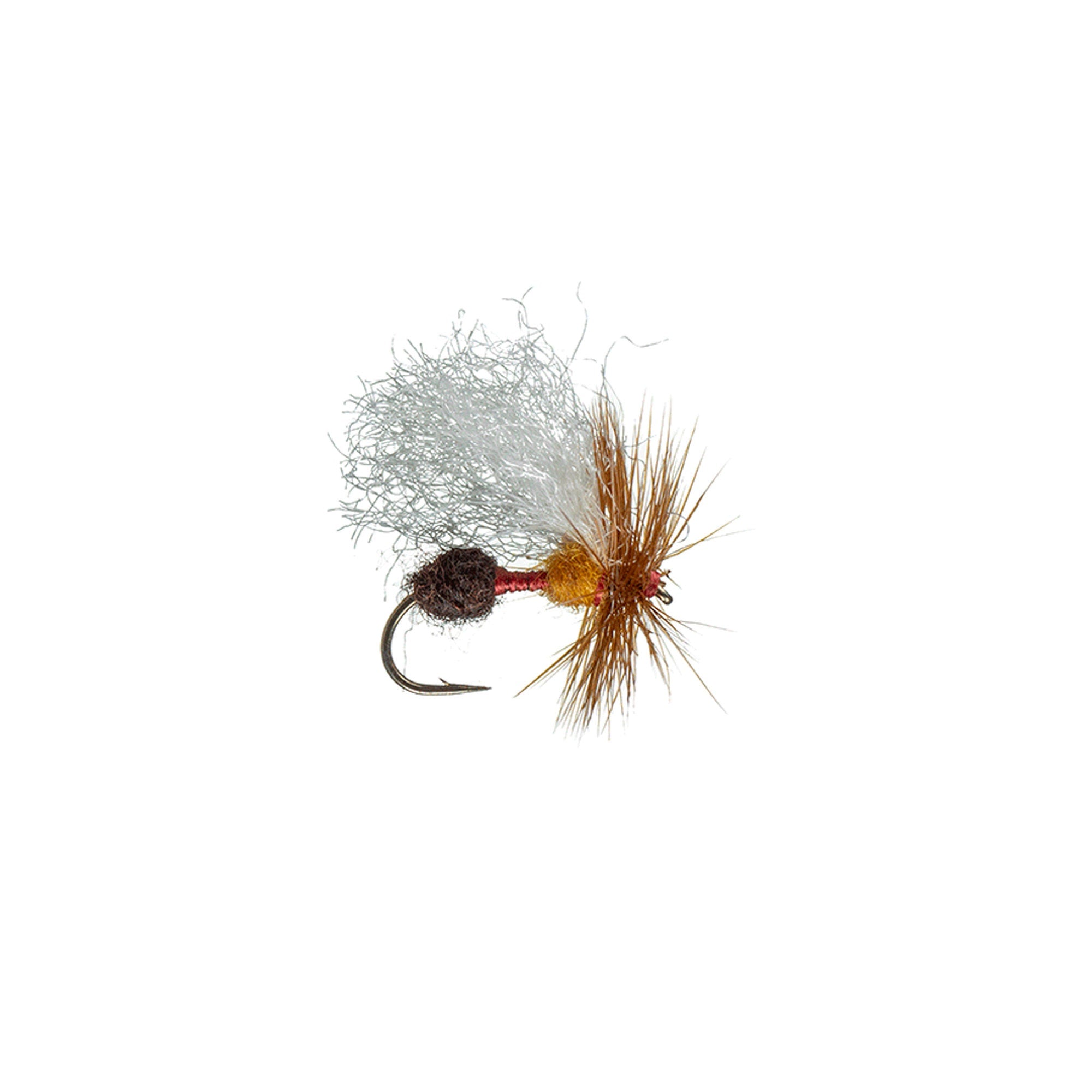 A Flying Cinnamon Ant — two-segment cinnamon and brown body, white poly wing and brown hackle collar (photo: Colorado Fly Supply)