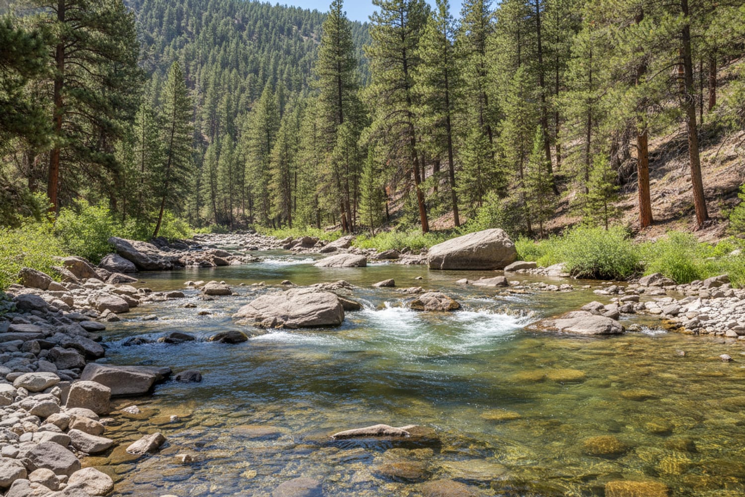 Braided runs and current seams around granite at Deckers in low summer flow