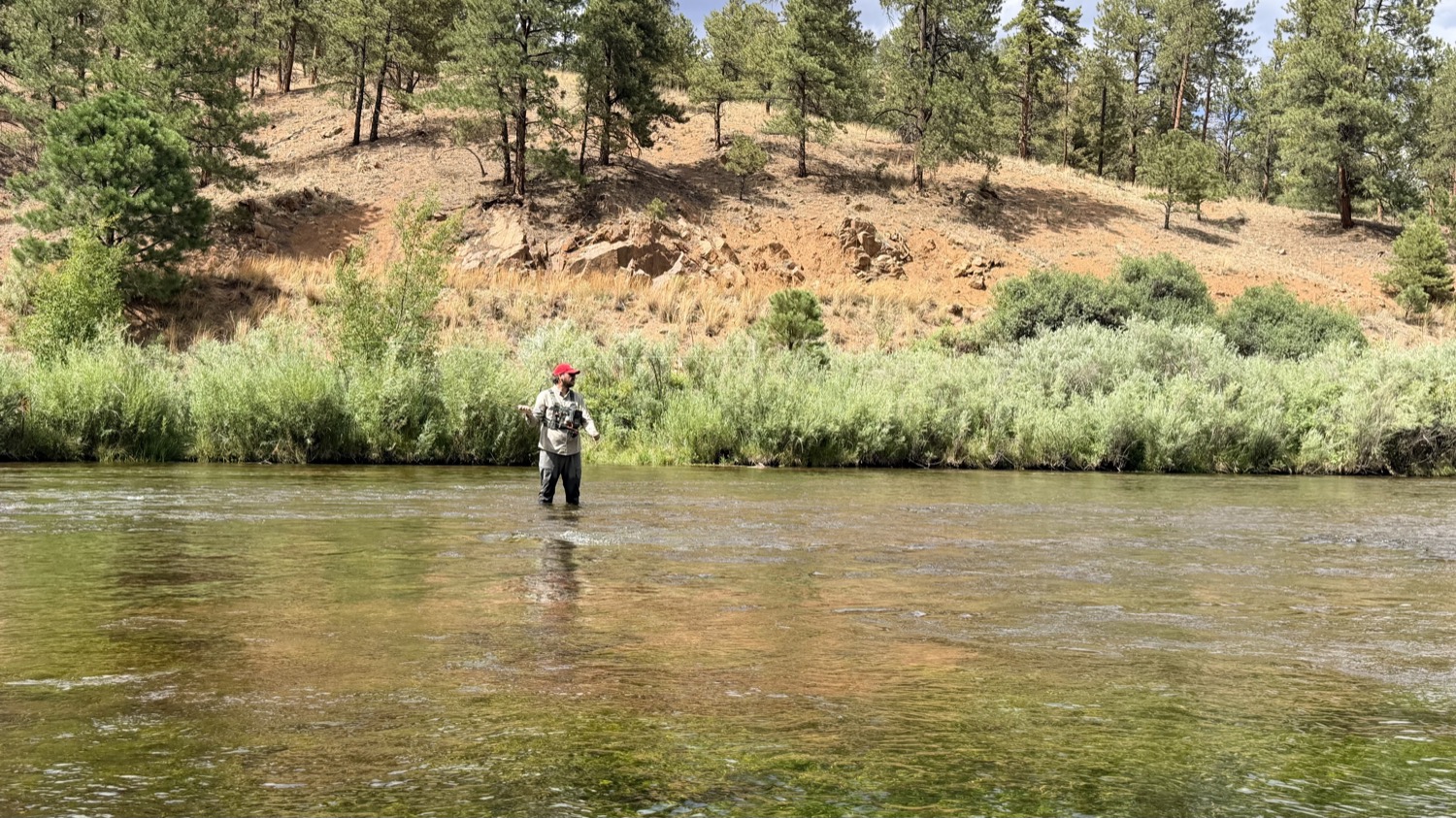 Fishing a clear South Platte run, rod in hand — the kind of ordinary day where a rod either disappears into the fishing or quietly nags at you all afternoon