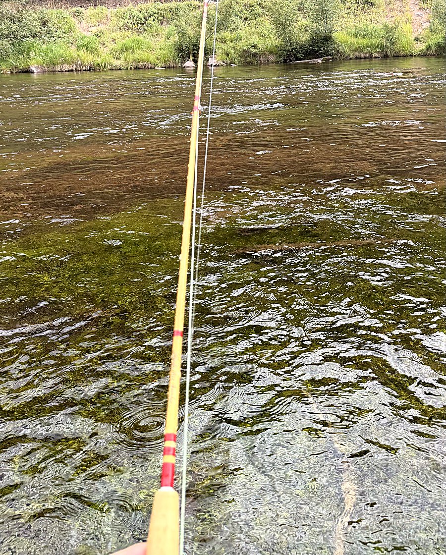 Looking straight down the blonde cane of my bamboo rod, red thread wraps at the ferrule station and the tip section extended low over a clear, weed-green South Platte run.