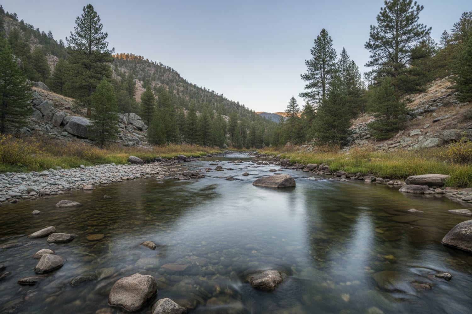 A clear South Platte tailwater run over cobble between low pine-dotted canyon slopes