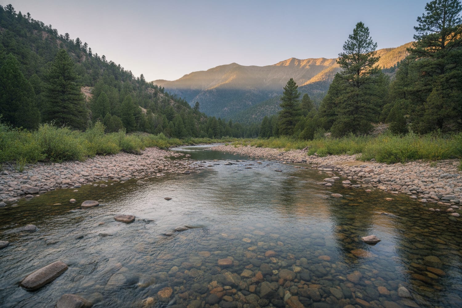 A clear South Platte tailwater run over cobble between low pine-dotted canyon slopes