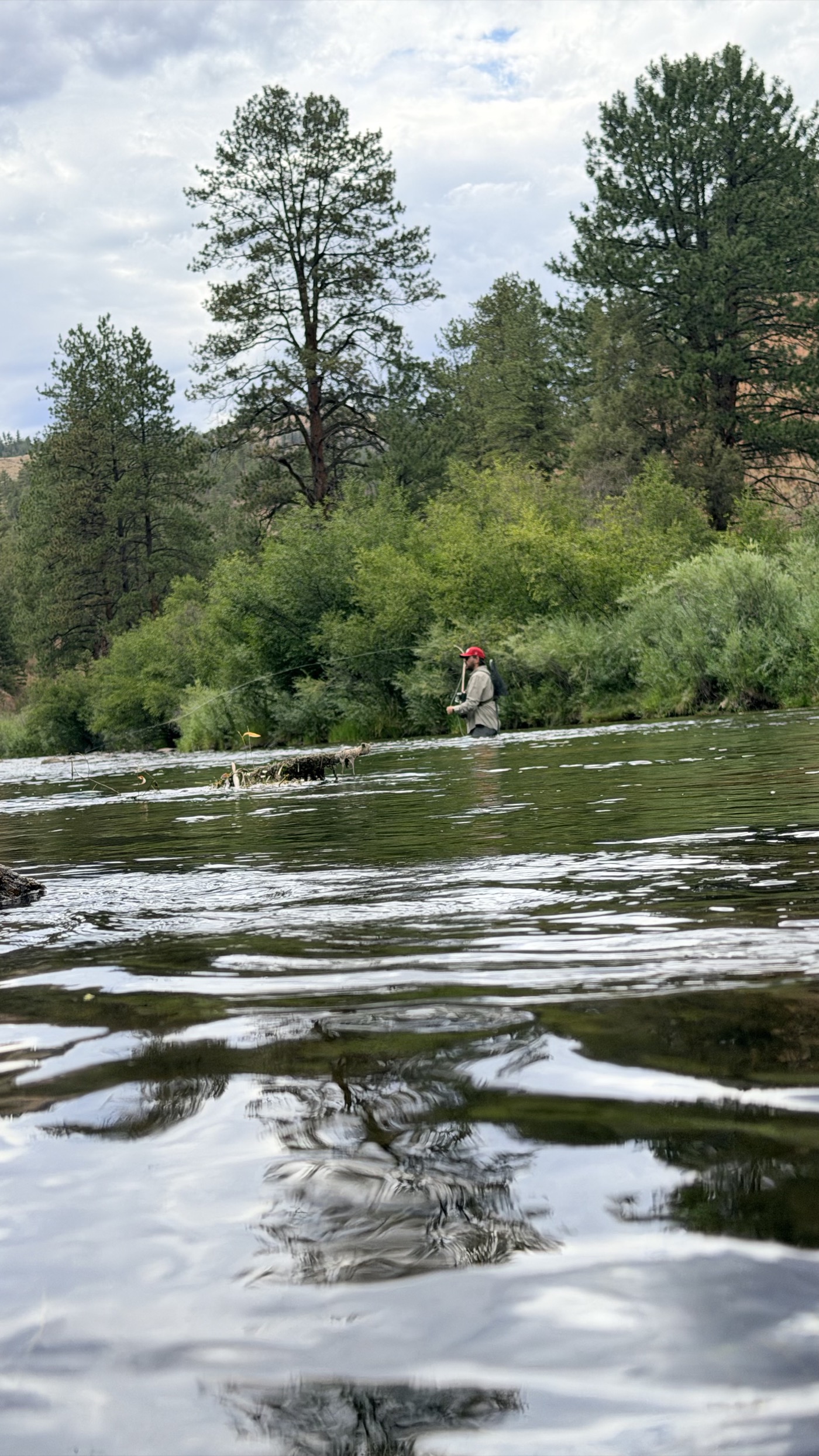 Working a tight-line drift on a quiet South Platte flat with the canyon reflected in the surface — the kind of subtle water where fine rod feel actually earns its keep