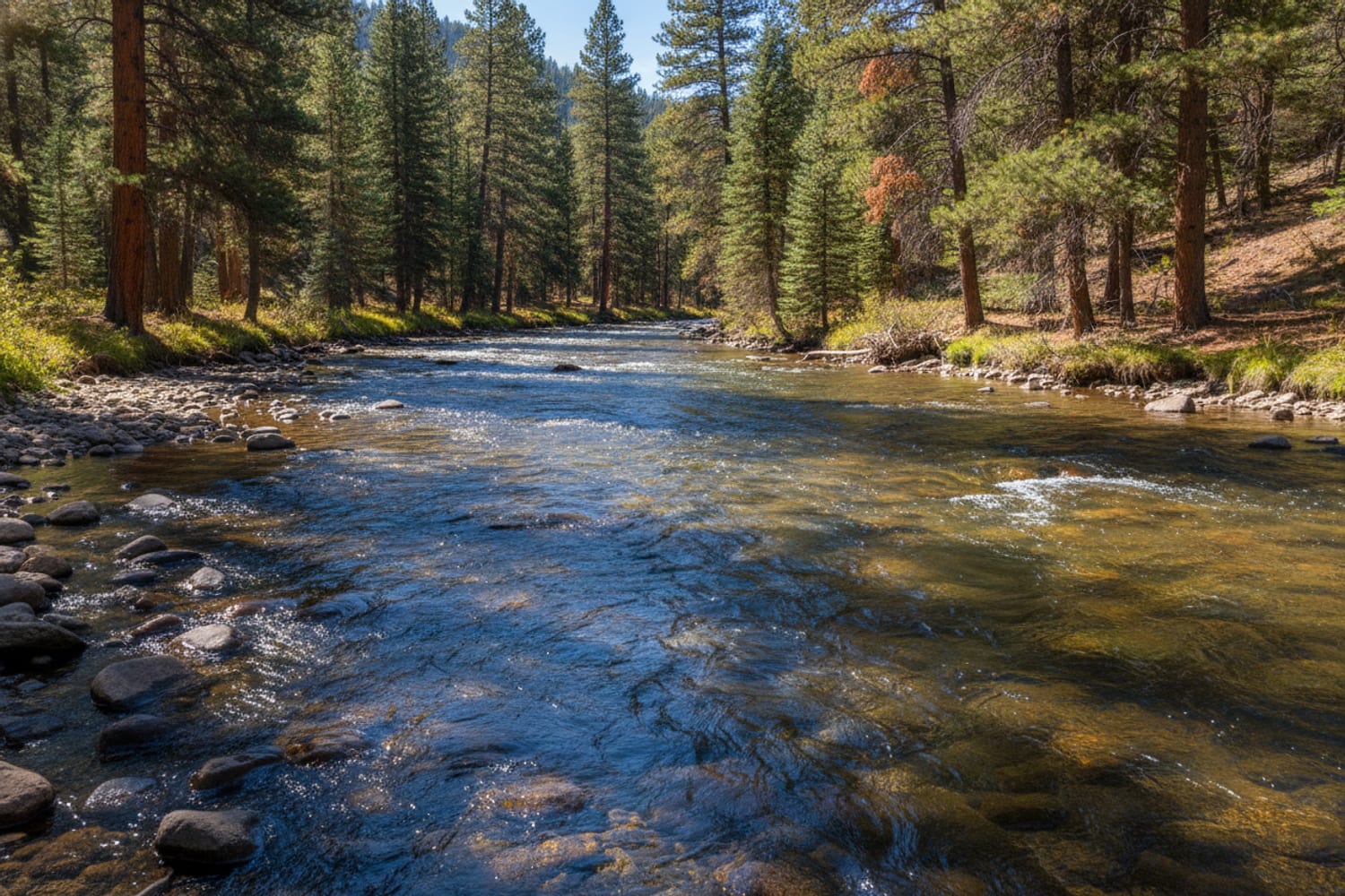 A warm summer riffle on a Colorado tailwater — ideal wet-wading water